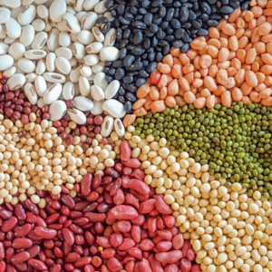 Pulses Supply